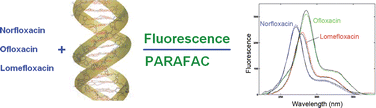 Graphical abstract: Molecular spectroscopy and chemometrics: an analytical study of synergistic effects of drugs—interaction between fluoroquinolones and DNA