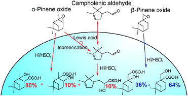 Graphical abstract: Laboratory chamber studies on the formation of organosulfates from reactive uptake of monoterpene oxides