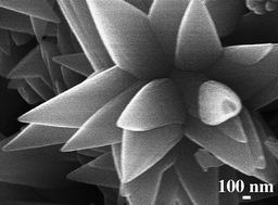 Graphical abstract: Two-step synthesis flowerlike calcium carbonate/biopolymer composite materials