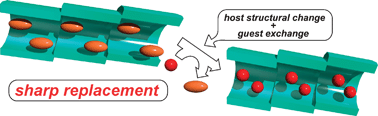 Graphical abstract: Guest replacement in a flexible single-crystal host by mixing the surrounding gas