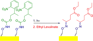 Graphical abstract: Synthesis of a photo-caged aminooxy alkane thiol