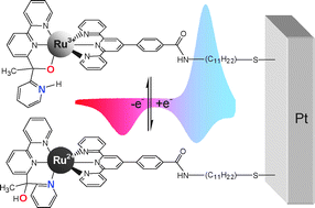 Graphical abstract: A surface-attached Ru complex operating as a rapid bistable molecular switch