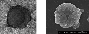 Graphical abstract: Cluster formation of Janus polymer microgels