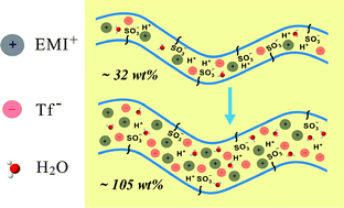 Graphical abstract: The role of water in transport of ionic liquids in polymeric artificial muscle actuators