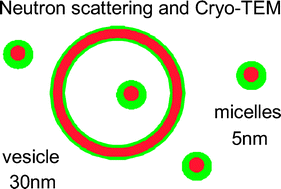 Graphical abstract: Small monodisperse unilamellar vesicles from binary copolymer mixtures