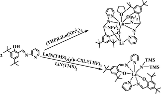 Graphical abstract: Migration of amide to imine group of lanthanide Schiff base complexes: effect of amido group