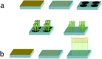 Graphical abstract: Catalytic growth of clusters of wurtzite ZnS nanorods through co-deposition of ZnS and Zn on Au film