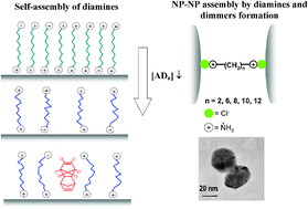 Graphical abstract: Self-assembly of α,ω-aliphatic diamines on Ag nanoparticles as an effective localized surface plasmon nanosensor based in interparticle hot spots