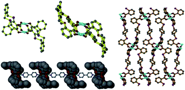 Graphical abstract: Construction of copper metal–organic systems based on paddlewheel SBU through altering the substituent positions of new flexible carboxylate ligands