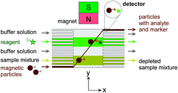 Graphical abstract: Mobile magnetic particles as solid-supports for rapid surface-based bioanalysis in continuous flow