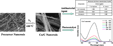 Graphical abstract: Copper-based nanostructures: promising antibacterial agents and photocatalysts