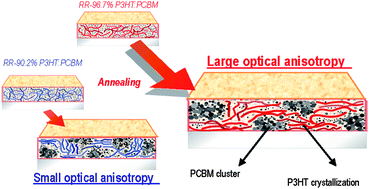 Graphical abstract: Regioregularity effects in the chain orientation and optical anisotropy of composite polymer/fullerene films for high-efficiency, large-area organic solar cells