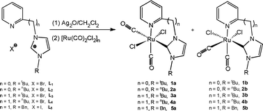 Graphical abstract: Synthesis, structures and catalytic activities of ruthenium(ii) carbonyl chloride complexes containing pyridine-functionalised N-heterocyclic carbenes