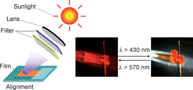 Graphical abstract: Can sunlight drive the photoinduced bending of polymer films?