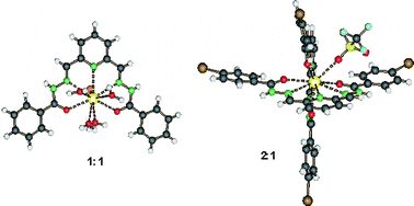 Graphical abstract: 1 : 1 vs. 2 : 1 coordination of pentadentate hydrazone-type ligands to lanthanide(iii) ions. Formation of cationic as well as dicationic complexes