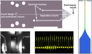 Graphical abstract: Microchip electrospray performance during gradient elution with bulk conductivity changes