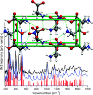 Graphical abstract: Inelastic neutron scattering and Raman spectroscopic investigation of l-alanine alaninium nitrate, a homologue of a ferroelectric material