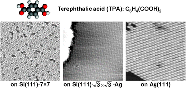 Graphical abstract: Substrate effect on supramolecular self-assembly: from semiconductors to metals