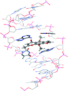 Graphical abstract: Computational study of khellin excited states and photobinding to DNA