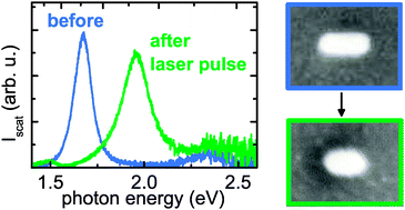 Graphical abstract: White light scattering spectroscopy and electron microscopy of laser induced melting in single gold nanorods