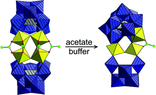 Graphical abstract: Acetate-controlled demetalation in multiiron polyoxometalates: A triiron cluster trapped between β- and γ-Keggin isomers