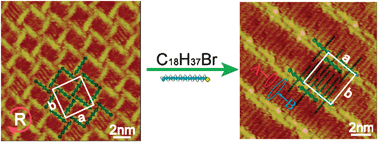 Graphical abstract: Two-dimensional OPV4 self-assembly and its coadsorption with alkyl bromide: from helix to lamellar