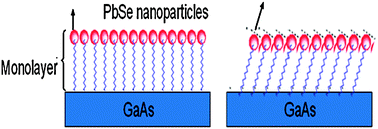 Graphical abstract: Controlling the anisotropic magnetic dipolar interactions of PbSe self-assembled nanoparticles on GaAs