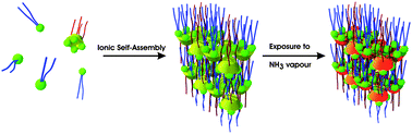 Graphical abstract: Calix[4]resorcinarene–surfactant complexes: formulation, structure and potential sensor applications