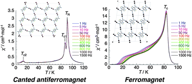 Graphical abstract: Charge-transfer two-dimensional layers constructed from a 2 : 1 assembly of paddlewheel diruthenium(II,II) complexes and bis[1,2,5]thiadizolotetracyanoquinodimethane: bulk magnetic behavior as a function of inter-layer interactions