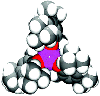 Graphical abstract: Influence of steric pressure on the activation of carbon dioxide and related small molecules by uranium coordination complexes