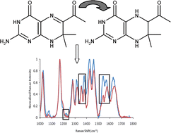 Graphical abstract: In situ detection of pterins by SERS