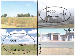 Graphical abstract: Distribution profiles of selected organic pollutants in soils and sediments of industrial, residential and agricultural areas of South Africa