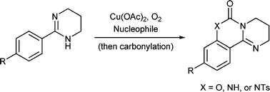 Graphical abstract: Cu(ii)-mediated oxidative intermolecular ortho C–H functionalisation using tetrahydropyrimidine as the directing group