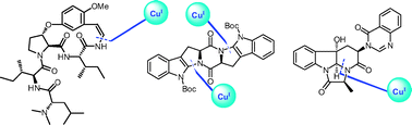 Graphical abstract: Copper-catalyzed cyclization reactions for the synthesis of alkaloids