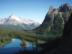 Graphical abstract: Differences in UV transparency and thermal structure between alpine and subalpine lakes: implications for organisms