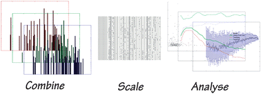 Graphical abstract: Evaluation of a combination of SIFT-MS and multivariate data analysis for the diagnosis of Mycobacterium bovis in wild badgers