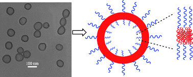 Graphical abstract: Advances and challenges in smart and functional polymer vesicles