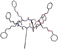 Graphical abstract: Size-dependent cation transport by cyclic α-peptoid ion carriers