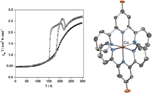 Graphical abstract: Polymorphism and “reverse” spin transition in the spin crossover system [Co(4-terpyridone)2](CF3SO3)2·1H2O