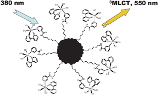 Graphical abstract: Luminescent, water-soluble gold nanoparticles functionalised with 3MLCT emitting rhenium complexes