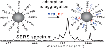 Graphical abstract: Poly(ethylene glycol)-stabilized silver nanoparticles for bioanalytical applications of SERS spectroscopy