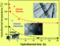 Graphical abstract: Successive effect of rolling up, oriented attachment and Ostwald ripening on the hydrothermal formation of szaibelyite MgBO2(OH) nanowhiskers