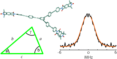 Graphical abstract: Three-spin correlations in double electron–electron resonance