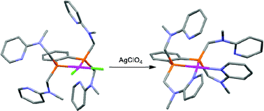 Graphical abstract: Synthesis, characterisation and coordination chemistry of a new multidentate P2N4 ligand system