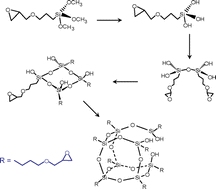 Graphical abstract: Sol-gel reactions of 3-glycidoxypropyltrimethoxysilane in a highly basic aqueous solution