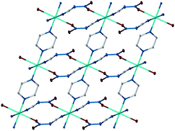 Graphical abstract: Coordination polymers of nitrocyanamide, O2NNCN−: synthesis, structure and magnetism