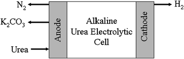 Graphical abstract: Urea electrolysis: direct hydrogen production from urine