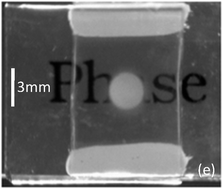 Graphical abstract: Photo-controlled conformation-assisted permanent optical storage device employing a polymer network liquid crystal