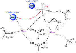 Graphical abstract: Hydrolysis of aspartic acid phosphoramidate nucleotides: a comparative quantum chemical study