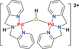 Graphical abstract: A dipalladium complex with a single hydroxo bridge and its methylpalladium precursor